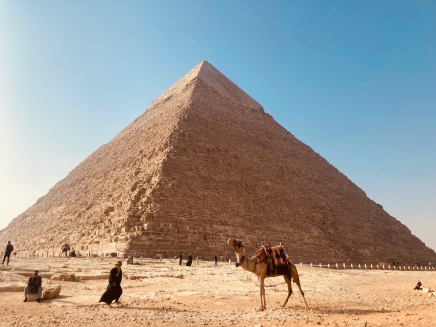 a camel standing in front of a very tall pyramid