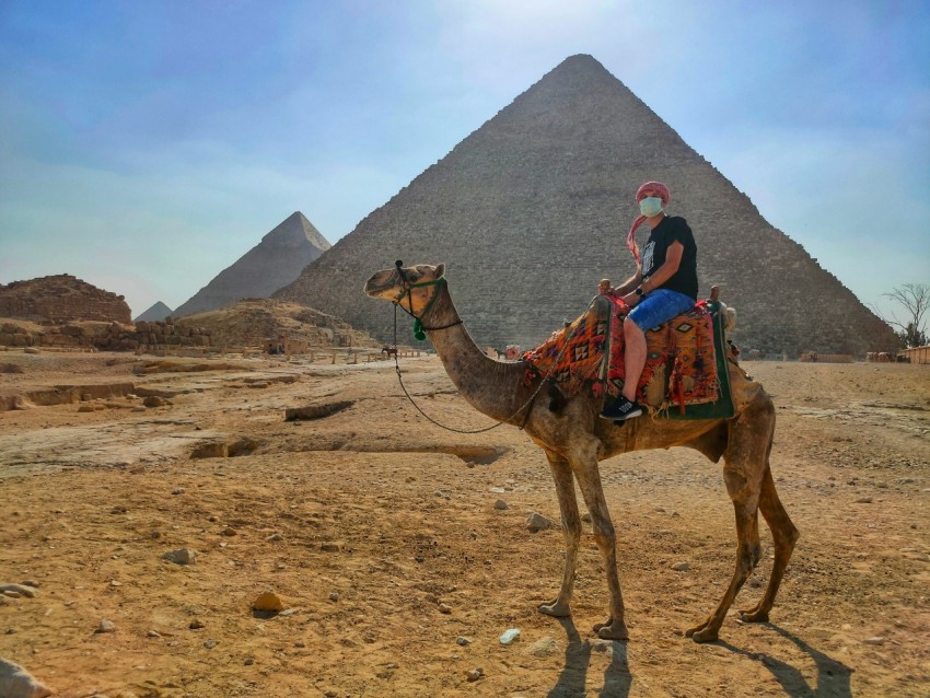 man riding camel on brown sand during daytime