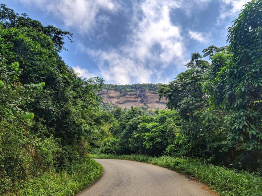 a winding road surrounded by lush green trees