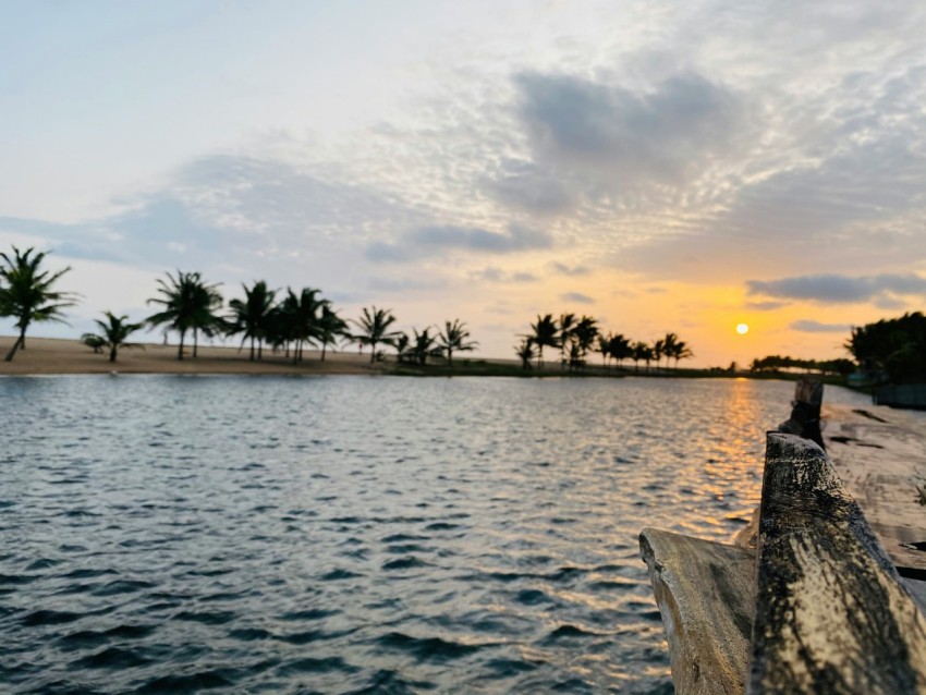 a body of water with trees and a sunset