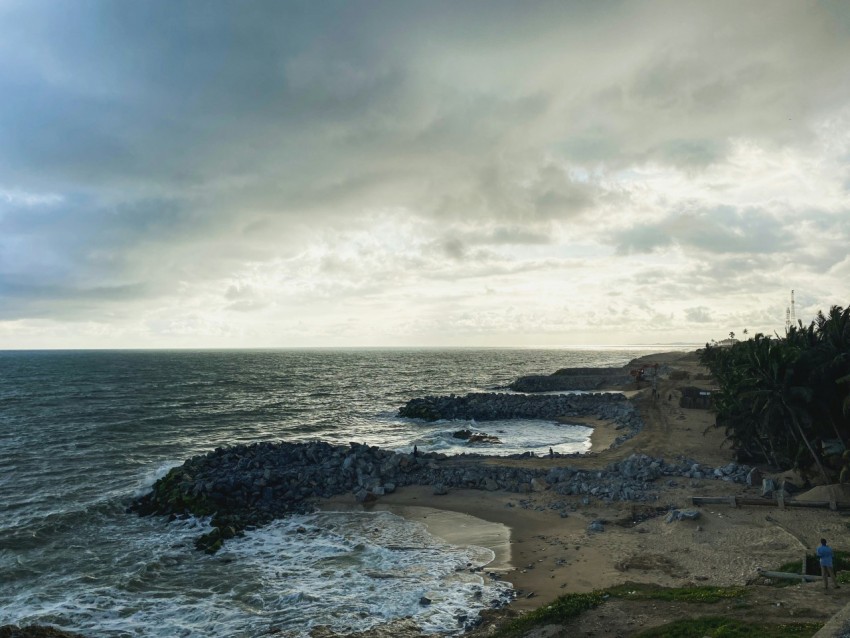 a beach with rocks and trees