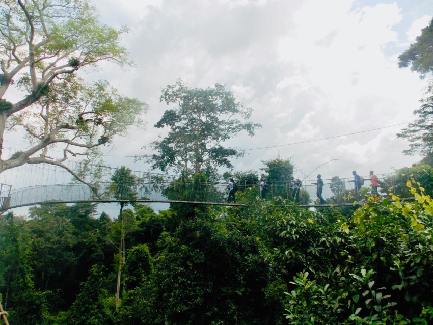 six persons walking on footbridge