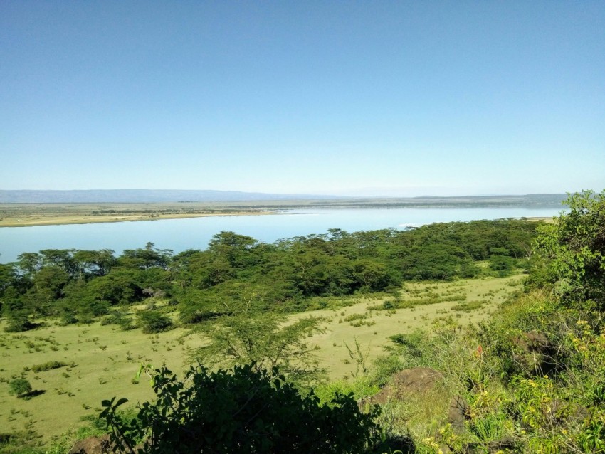 a landscape with trees and water in the background