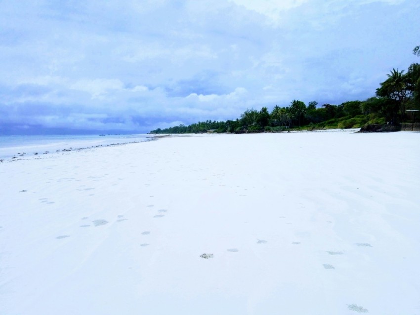 a beach with trees and a hill in the background