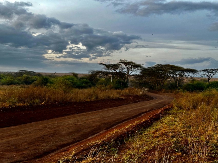 a dirt road in the middle of a field