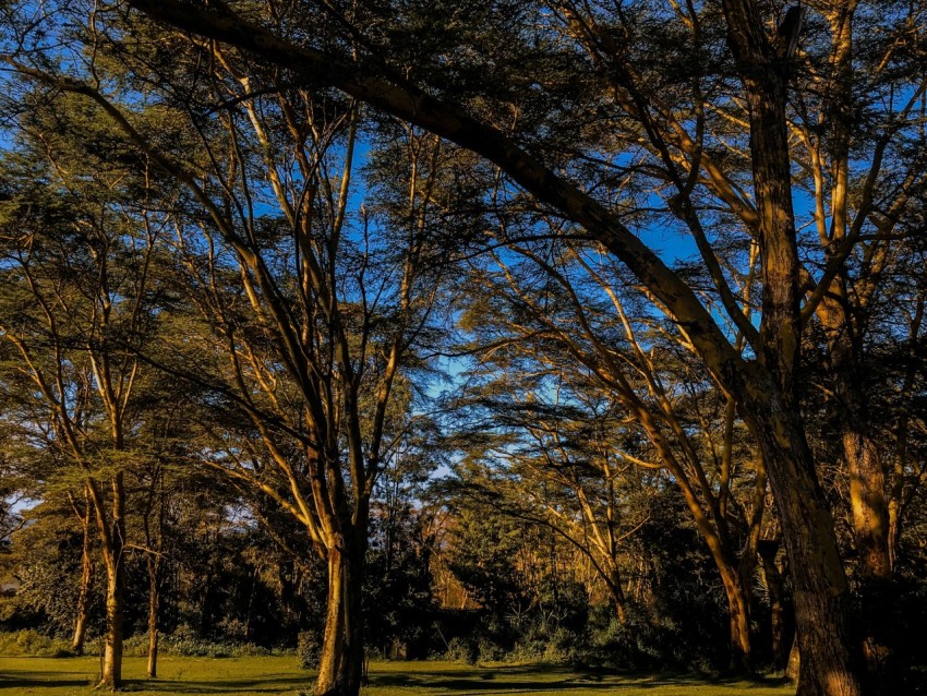 a park bench sitting in the middle of a park