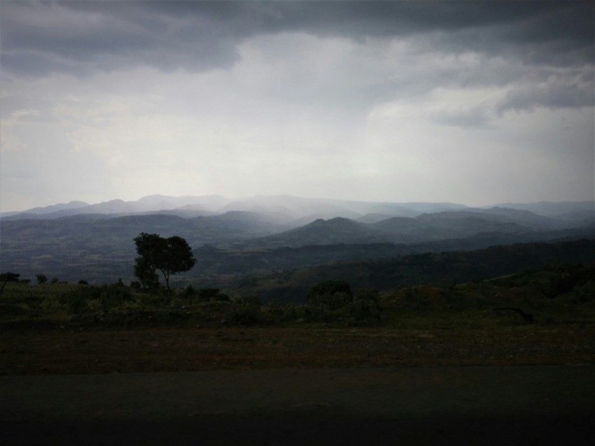 mountain surrounded by trees