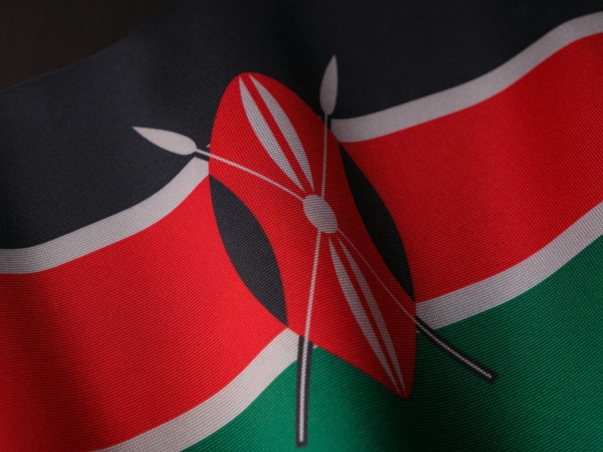 a close up of a flag of the country of kenya