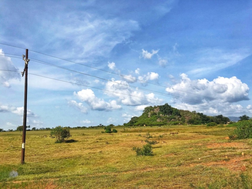 green grass field under blue sky during daytime