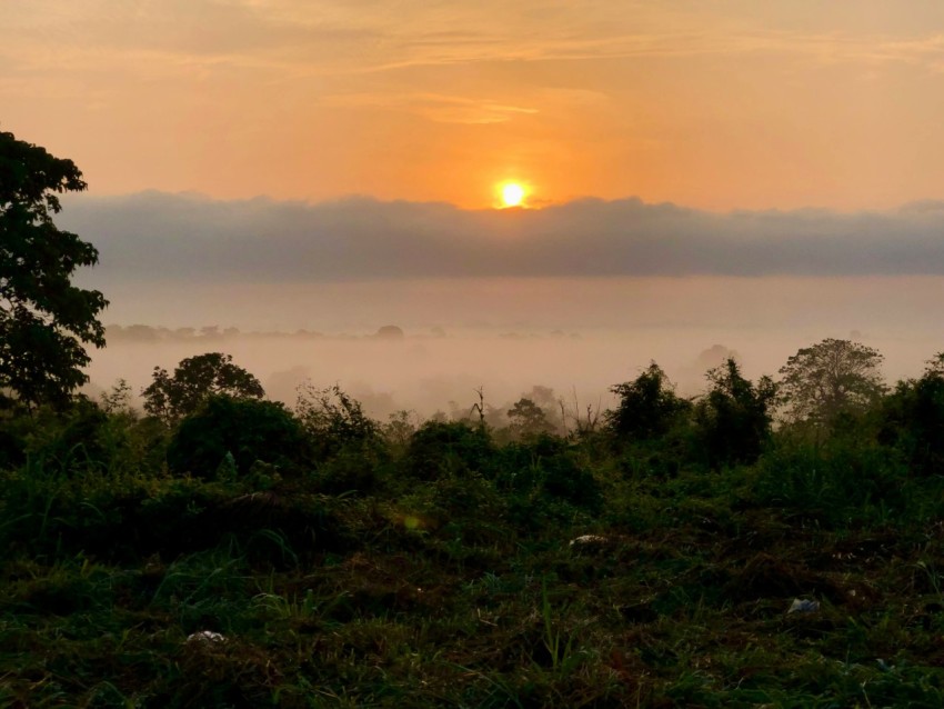 the sun is setting over a foggy field