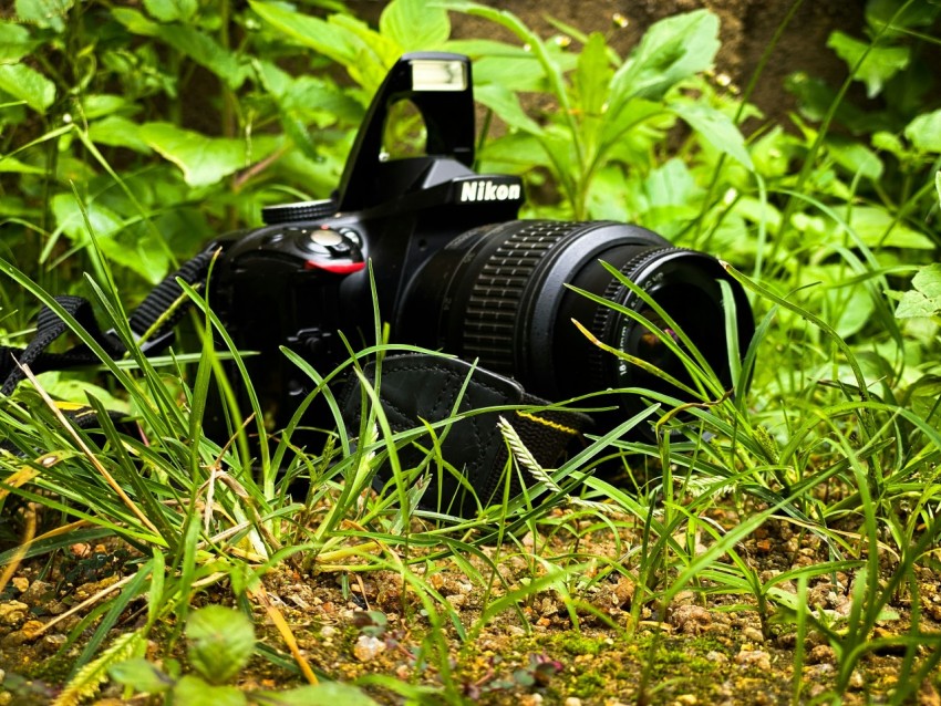 a camera on the ground