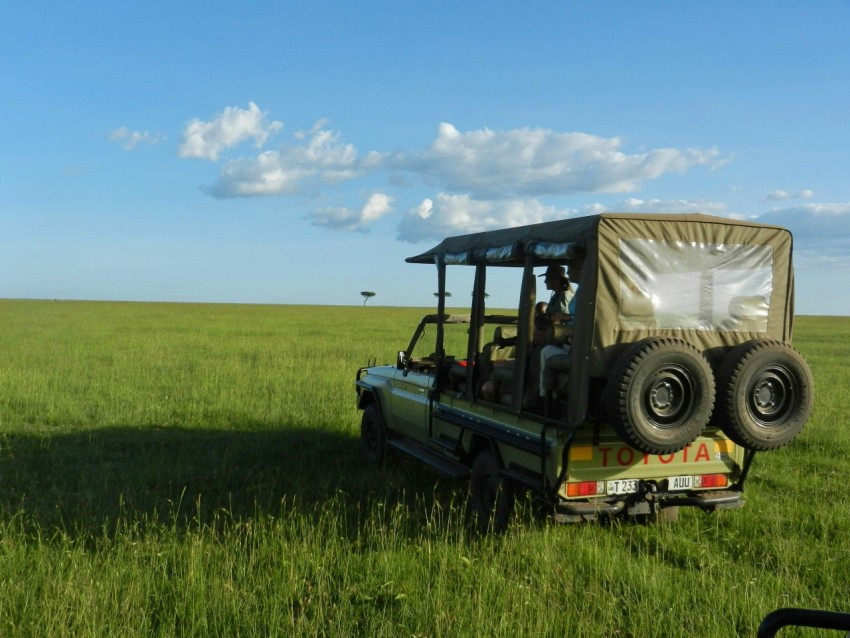 green and black jeep wrangler on green grass field under blue sky during daytime tJ