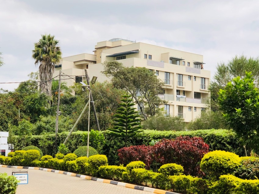 white concrete building near green trees during daytime