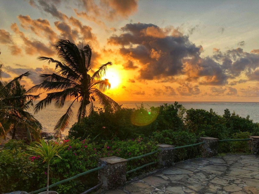 the sun is setting over the ocean with palm trees AK_W