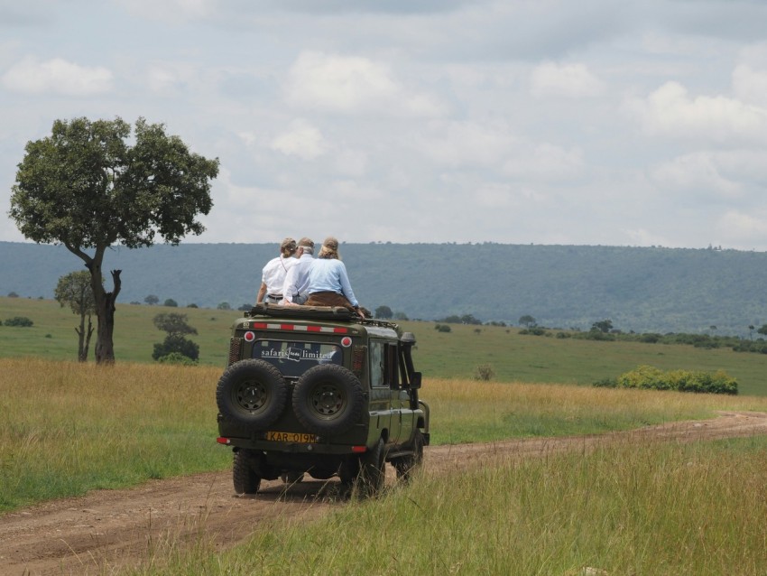 couple kissing on black jeep wrangler on green grass field during daytime