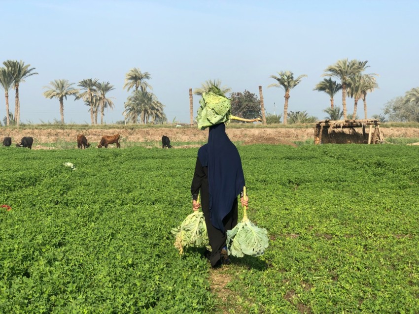 woman in black dress walking on green grass field during daytime