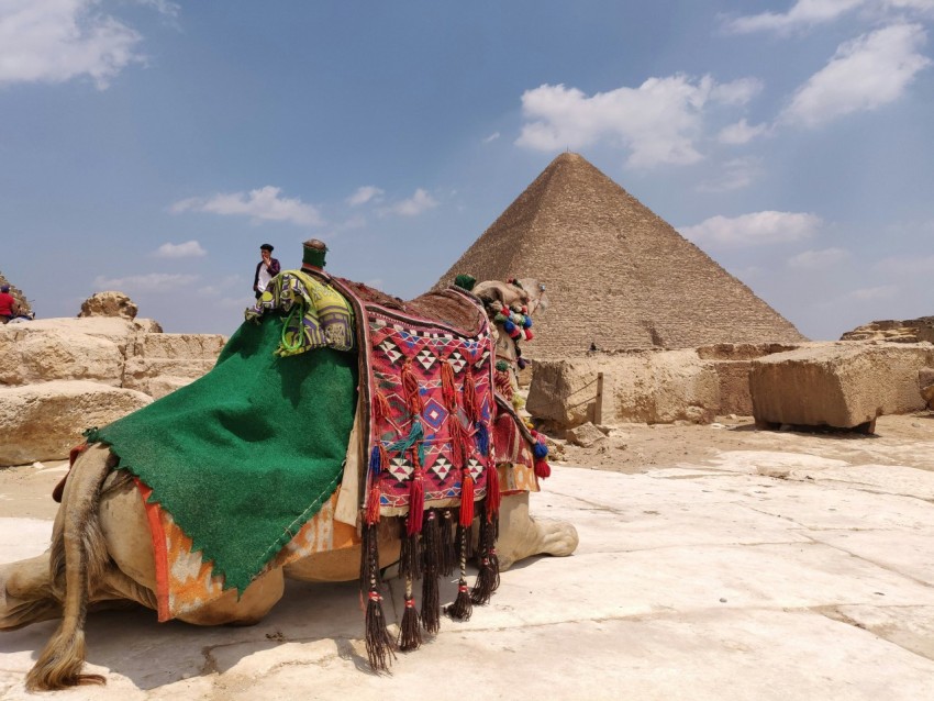 brown camel lying on pavement near pyramid of egypt under white and blue skies KhM6t