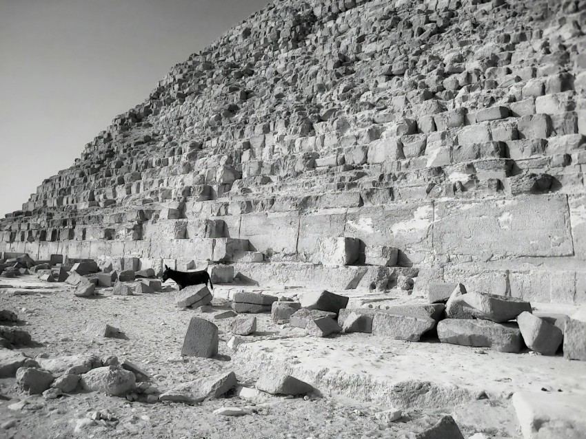 a black and white photo of the great pyramid of giza