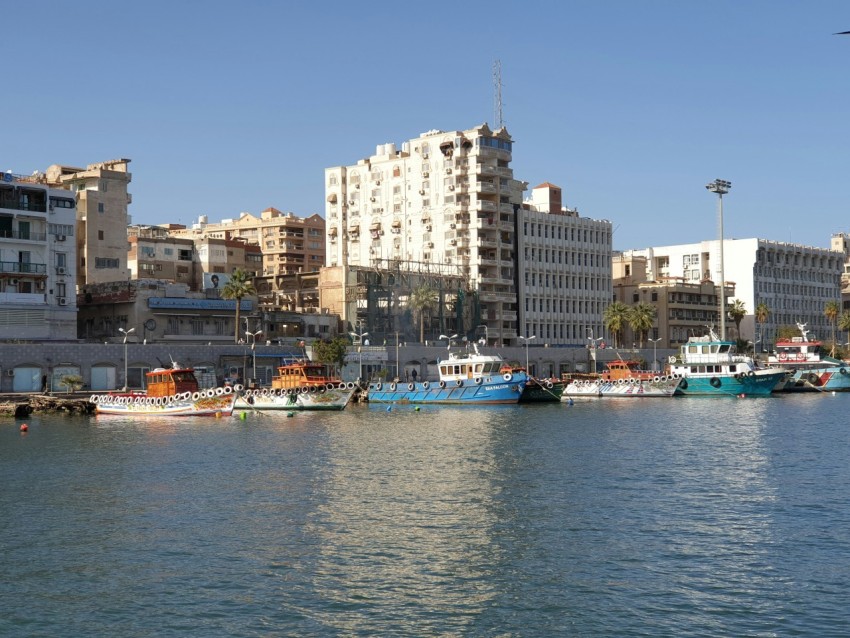 white and blue boat on sea near city buildings during daytime