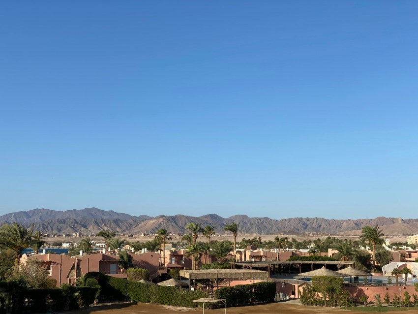 green trees and houses under blue sky during daytime