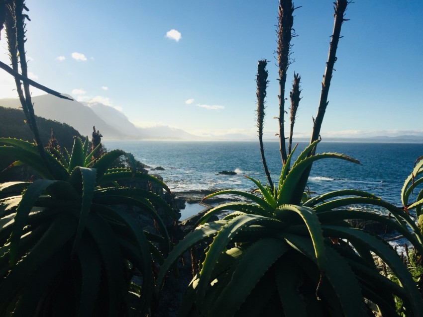 a view of a body of water from a hill