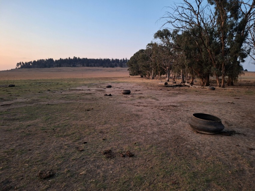 a tire lying in the middle of a field