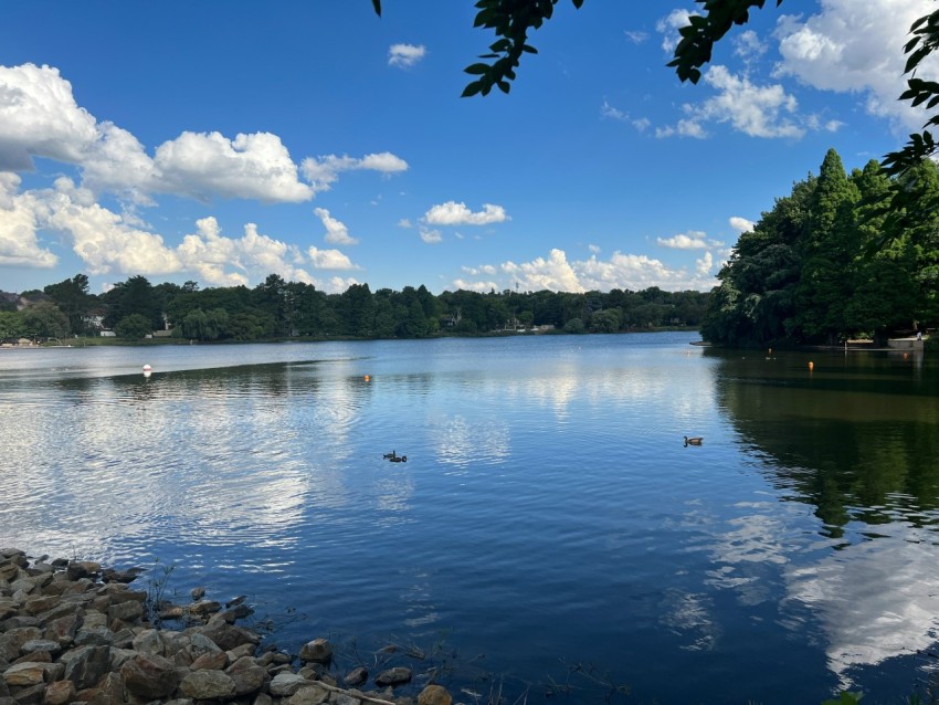 a body of water surrounded by trees and rocks NTkD