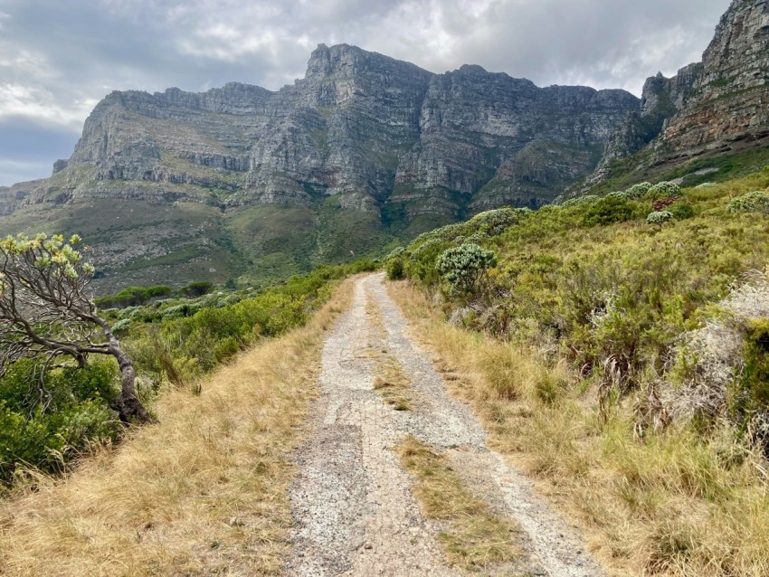 a dirt road with a mountain in the background