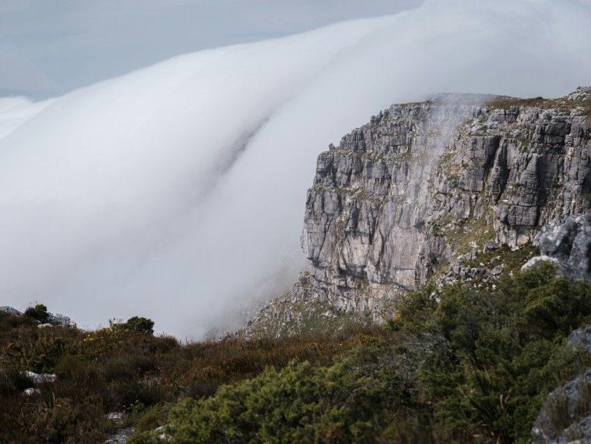 a mountain with trees below