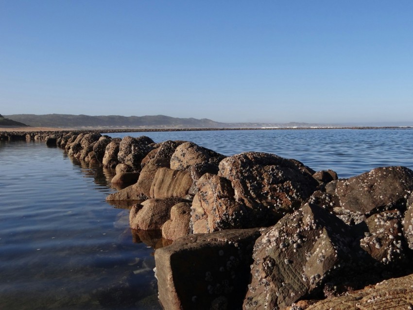 a row of rocks sitting on top of a body of water