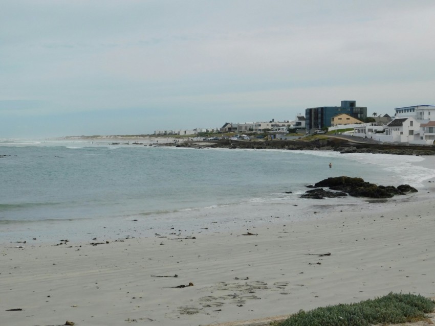 a view of a beach with houses in the background