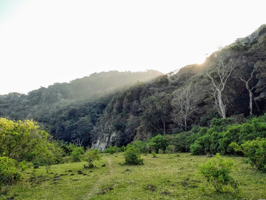 mountains during daytime