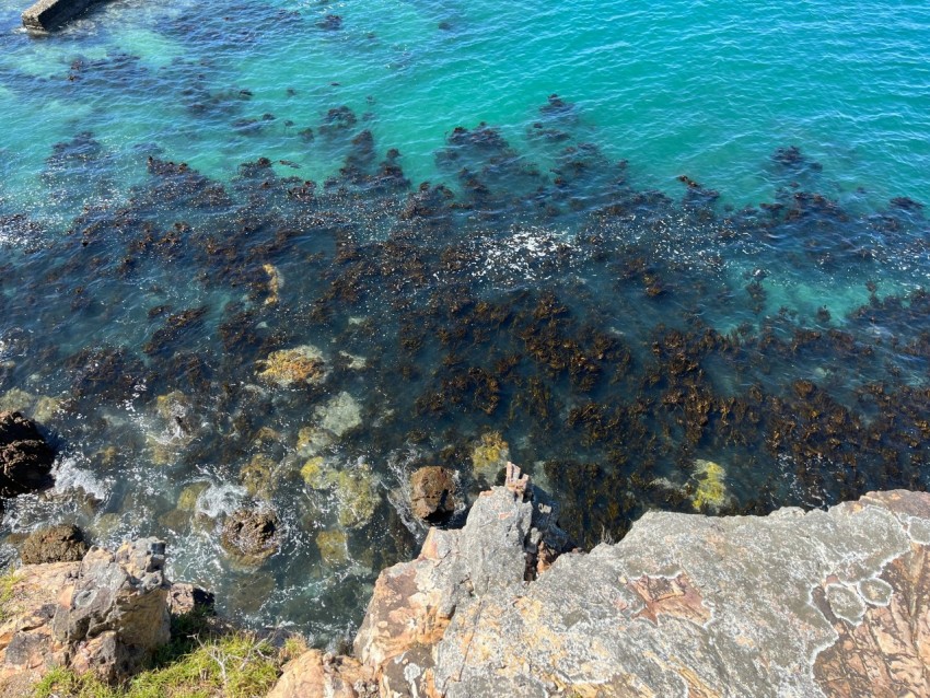 a body of water filled with lots of rocks