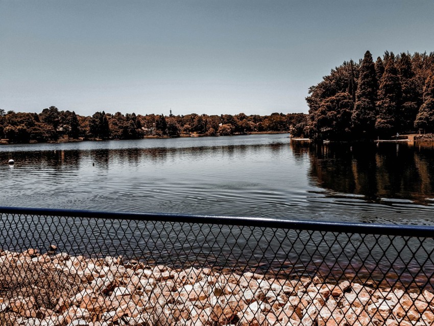 a large body of water surrounded by trees