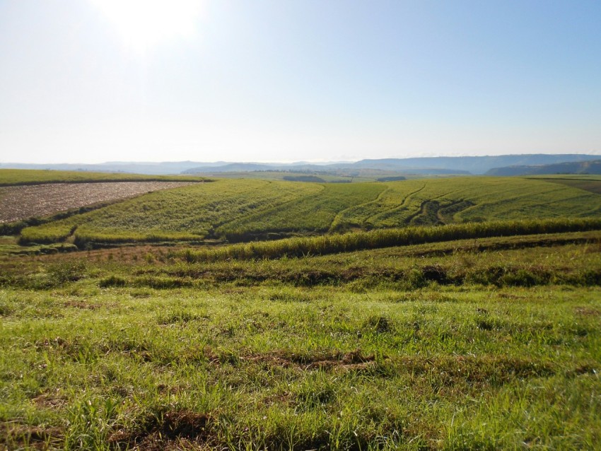 a grassy field with hills in the distance