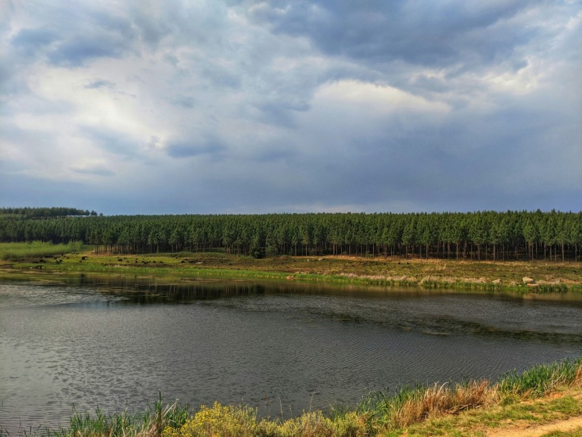 green grass field near river under white clouds and blue sky during daytime JkVr7bvZ