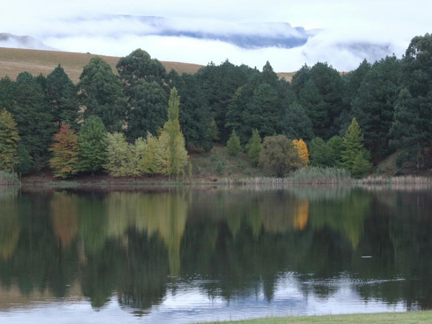 a large body of water surrounded by trees