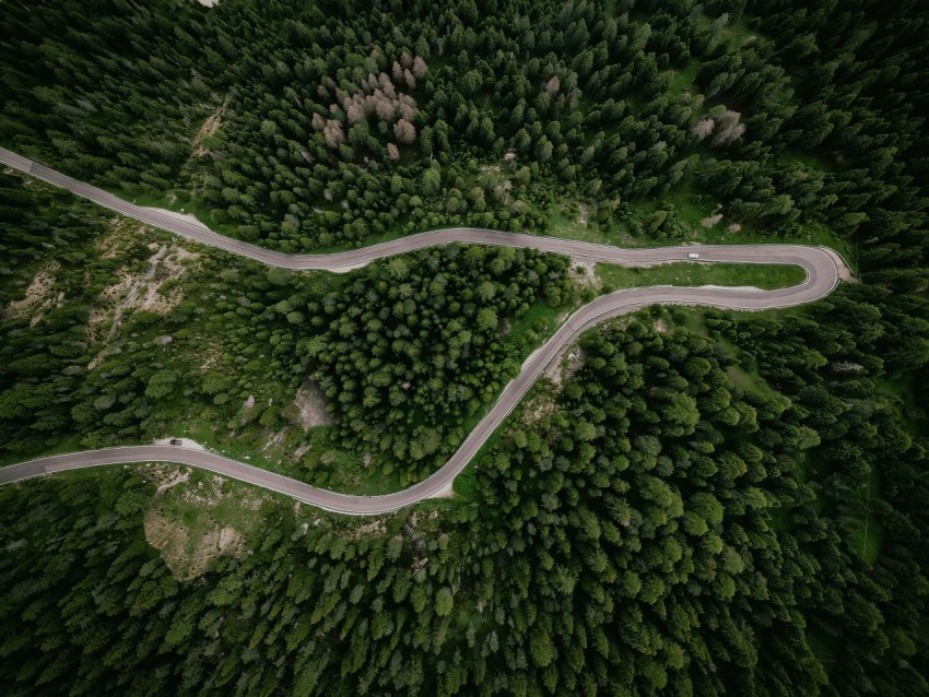 a winding road in the middle of a forest