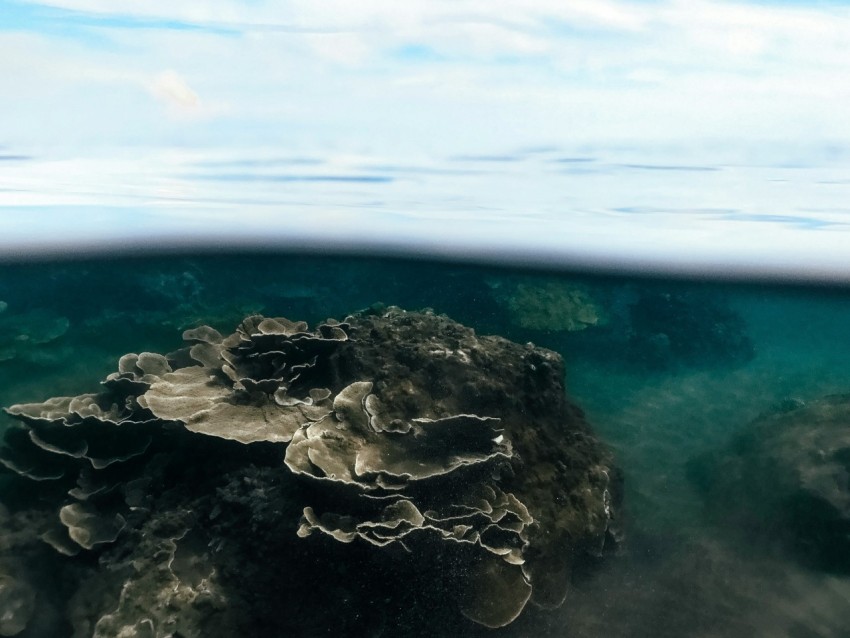 an underwater view of a rock in the ocean