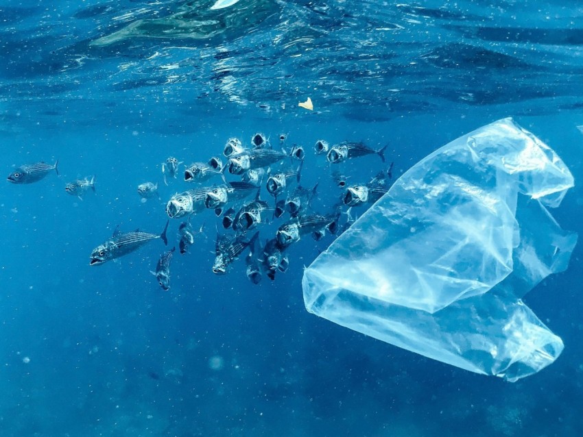 a plastic bag floating on top of a body of water isBu nDo9