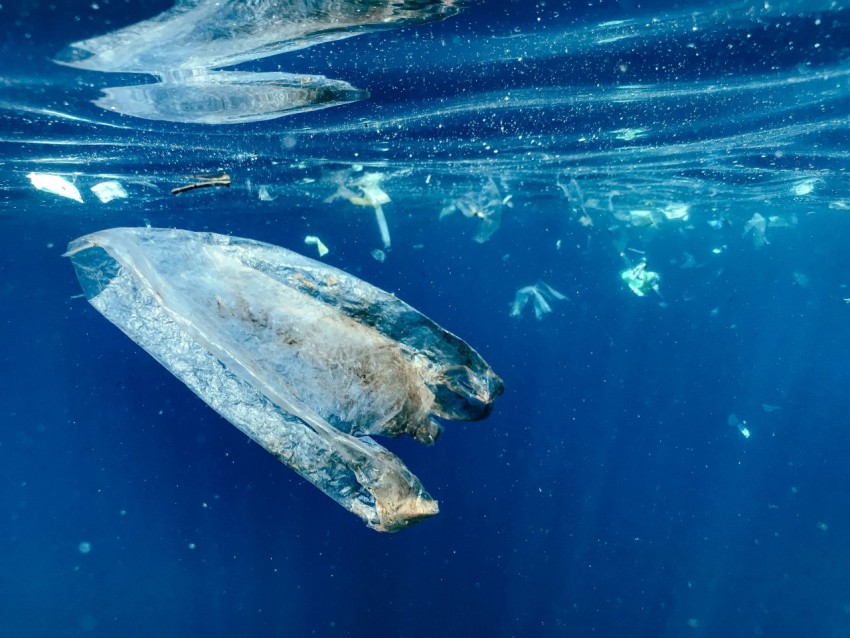 a plastic bag floating in the ocean