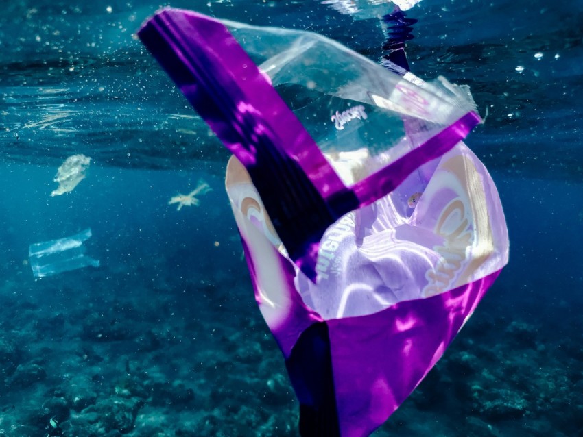 a woman in a bikini swims under water