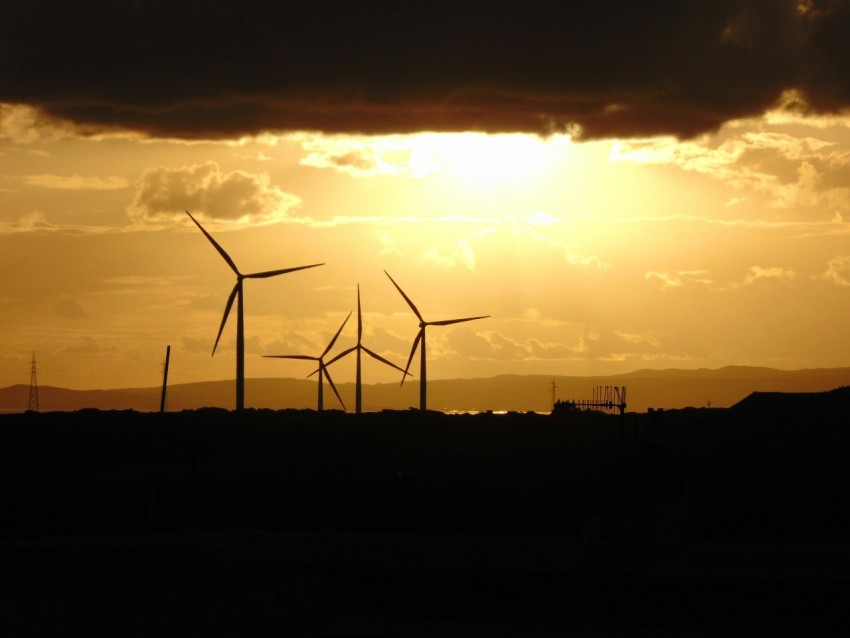 a group of windmills in a field at sunset