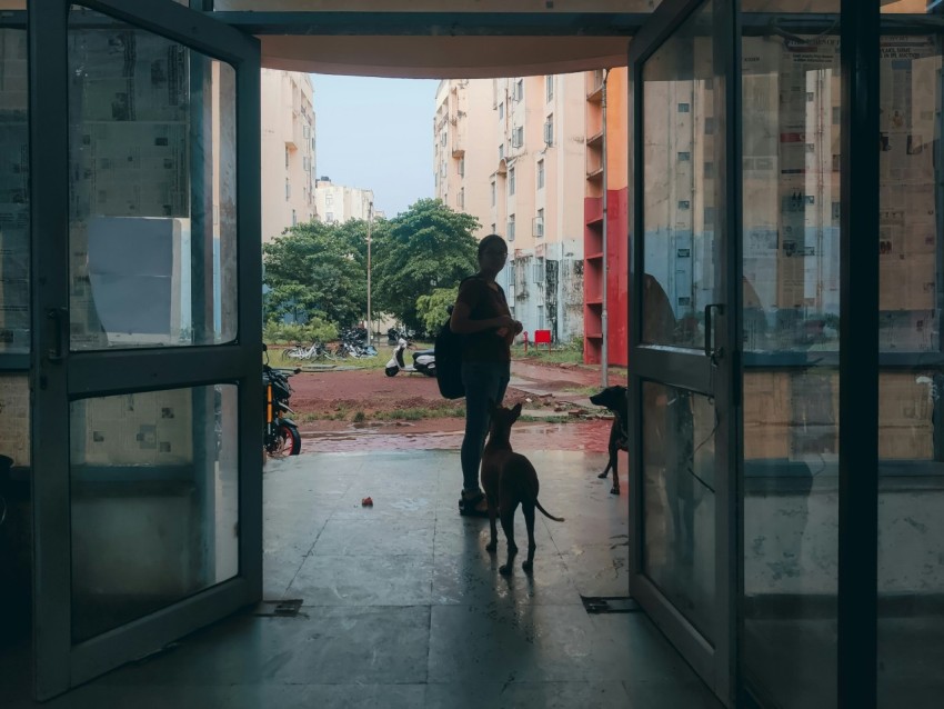 a person walking a dog through a doorway