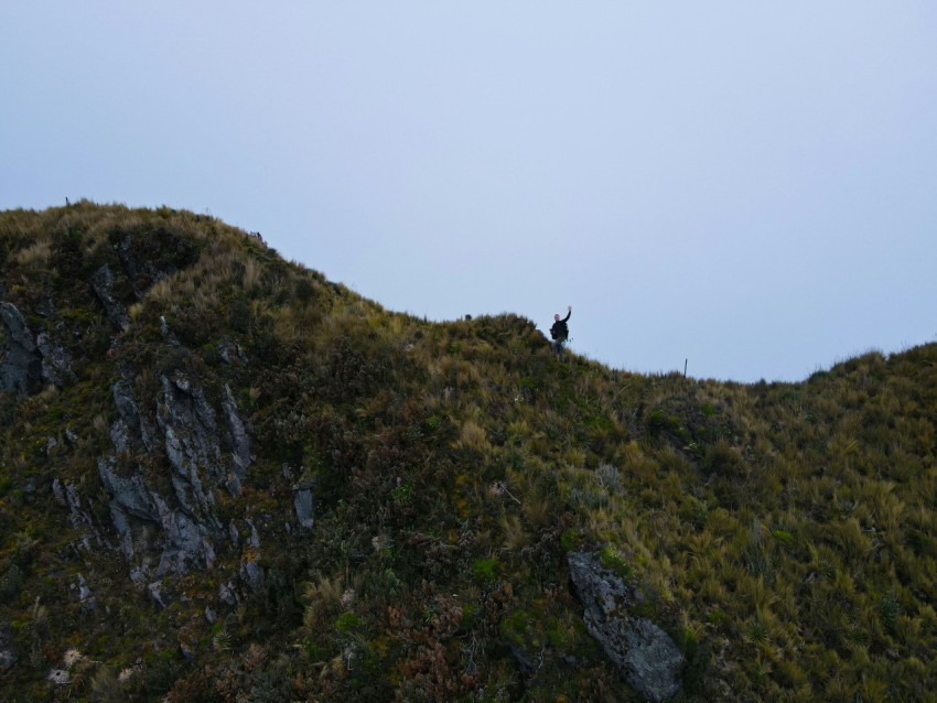 a bird is perched on the top of a mountain