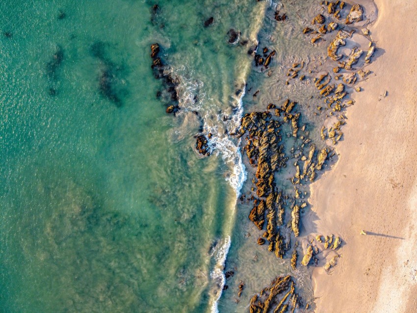 aerial view of beach during daytime