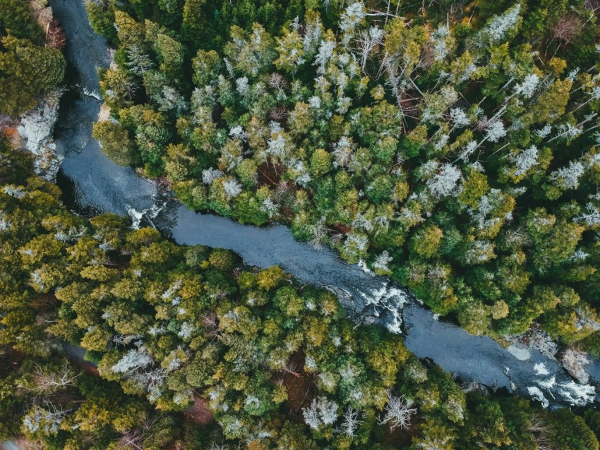 a stream of water with moss on the sides