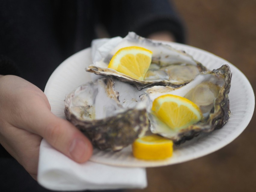 person holding white ceramic plate with sliced lemon