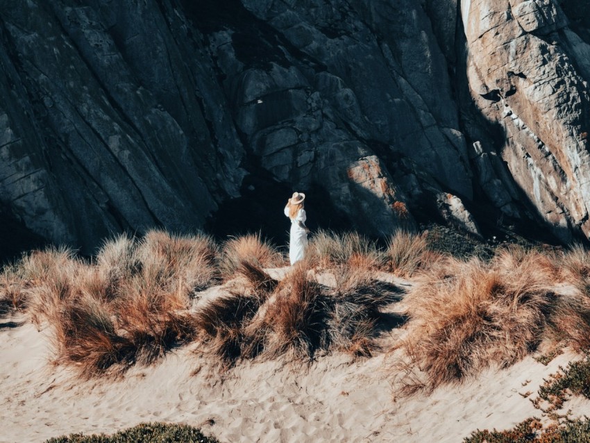 a bird standing on a rock