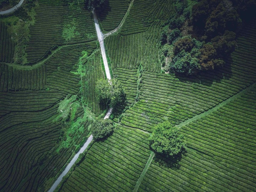 aerial photo of green field during daytime yF09jBE0